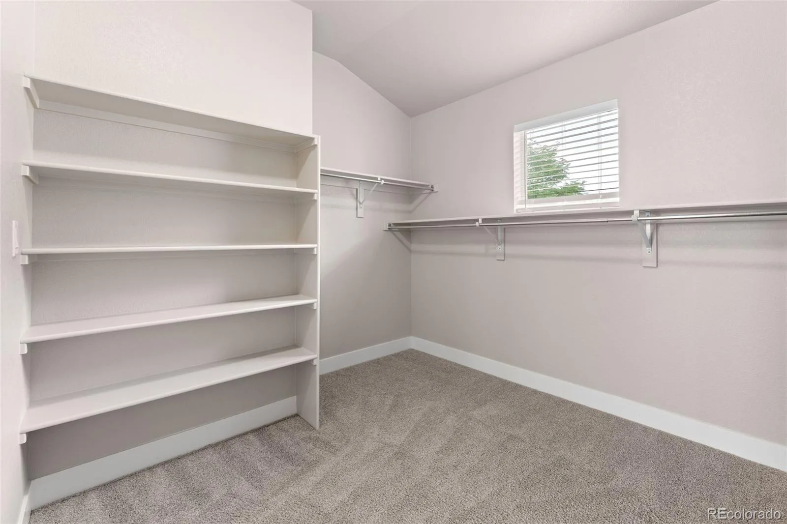 9751 E 62nd Drive Denver CO 80238 | MLS #REC9504278 08132026224006 1600 24