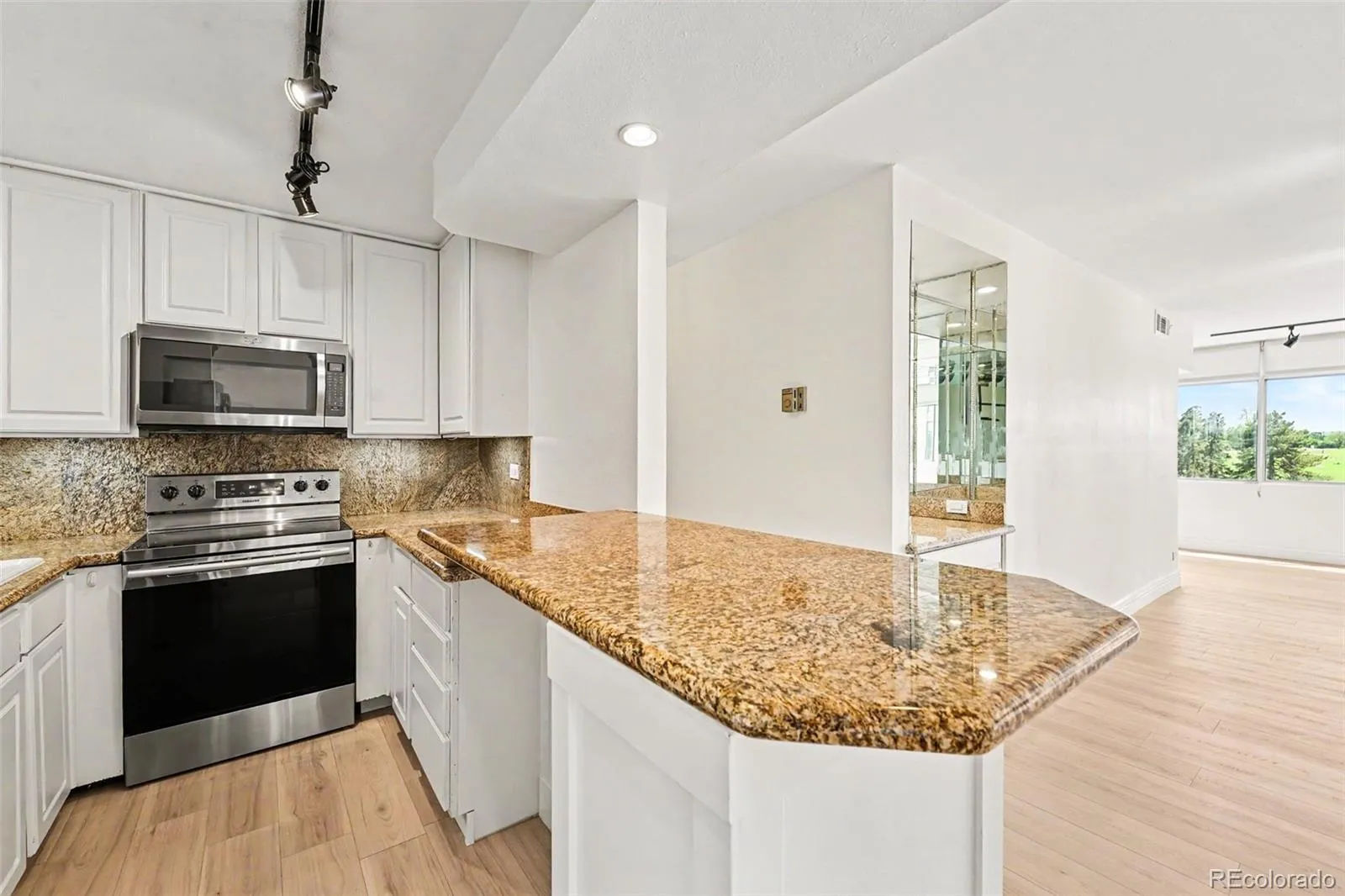 1313 N Williams Street #705 Denver CO 80218 MLS #REC9508797 05282026025638 1600 13