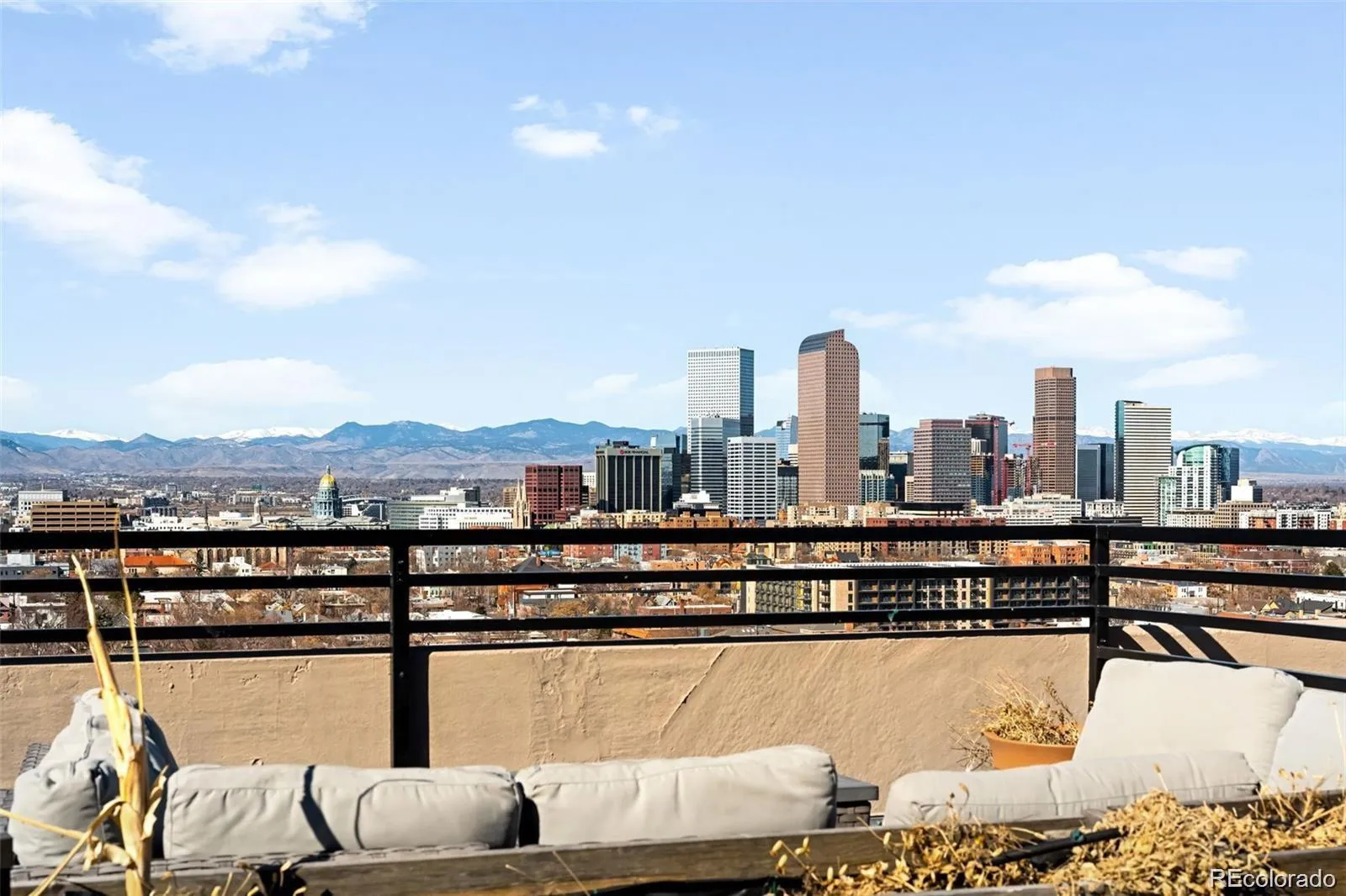 1313 N Williams Street #705 Denver CO 80218 MLS #REC9508797 05282026025638 1600 32