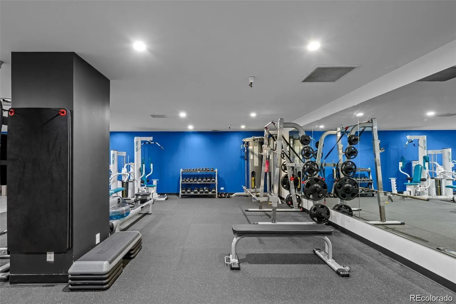 1313 N Williams Street #705 Denver CO 80218 MLS #REC9508797 05282026025638 1600 36