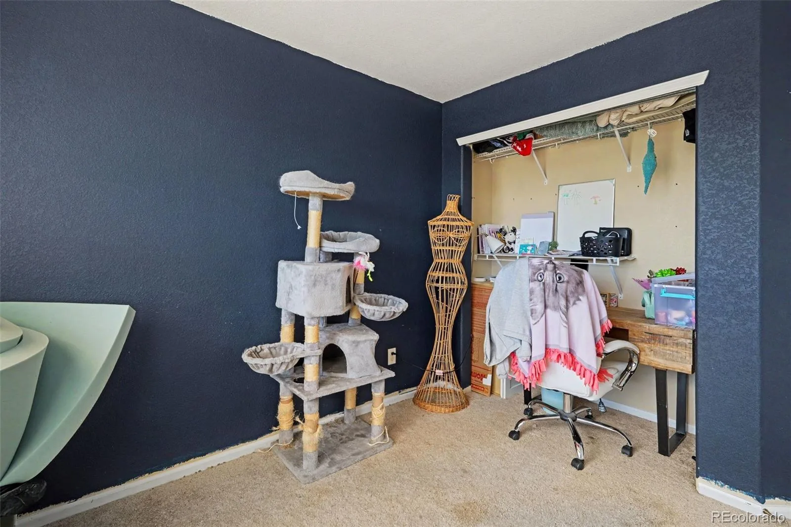 87 Peabody Street Castle Rock CO 80104 | MLS #REC9509499 07152026085155 1600 11