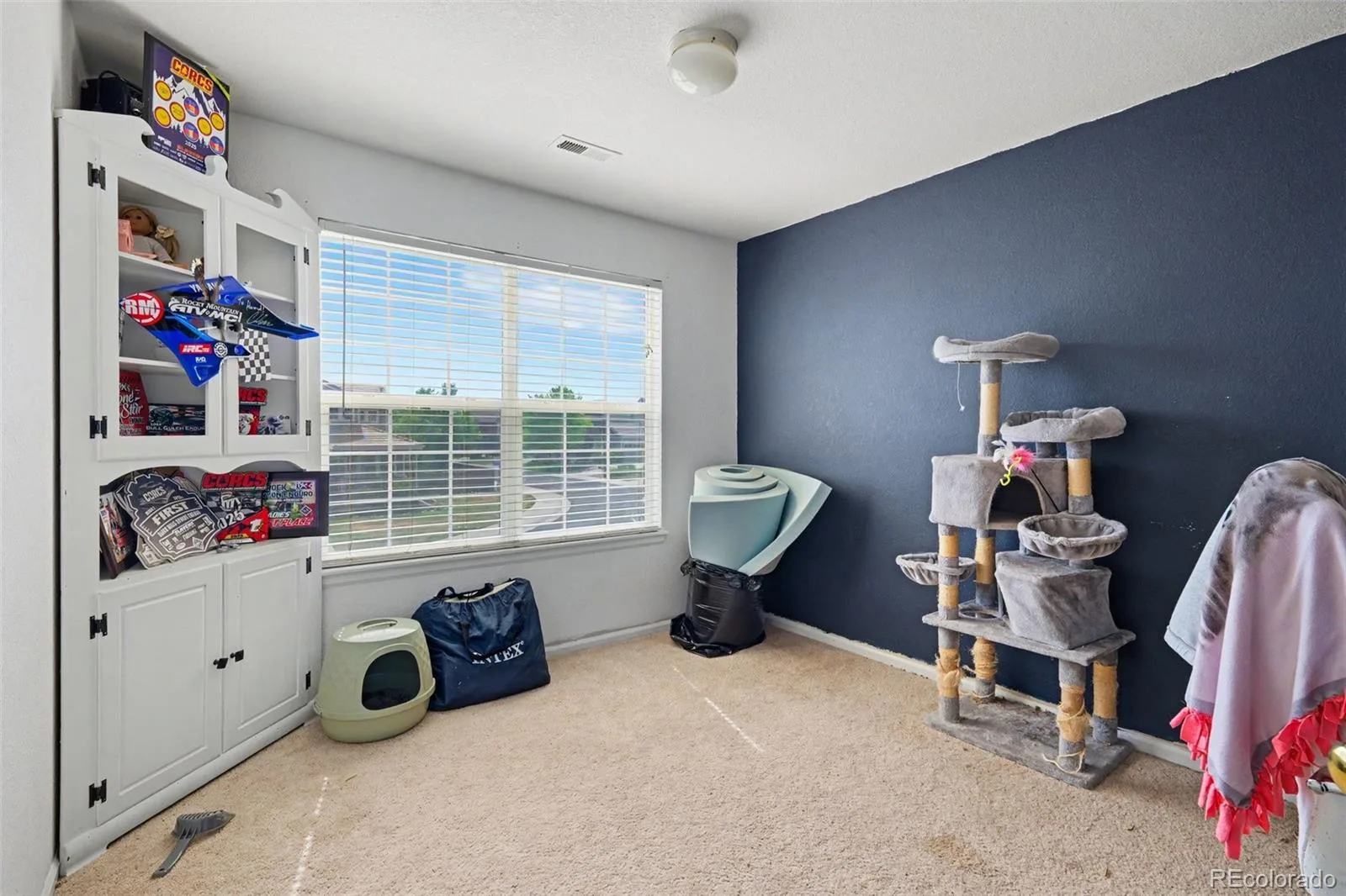 87 Peabody Street Castle Rock CO 80104 | MLS #REC9509499 07152026085155 1600 12