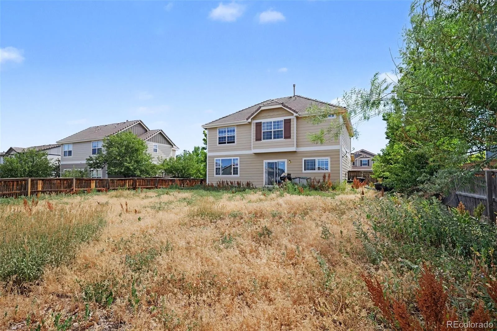 87 Peabody Street Castle Rock CO 80104 | MLS #REC9509499 07152026085155 1600 16