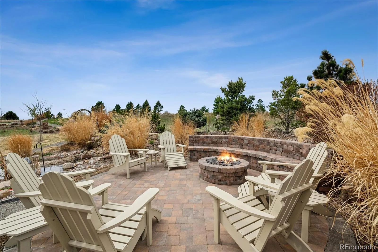 4646 Sonado Place Parker CO 80134 MLS #REC9514663 04082026231234 1600 48