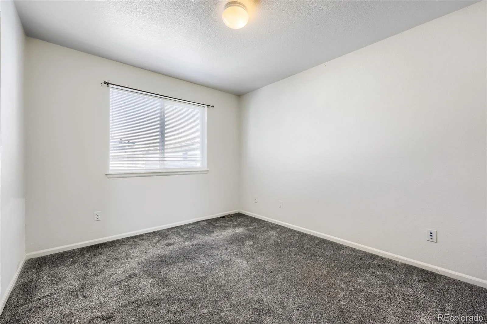 5551 Halifax Street Denver CO 80249 | MLS #REC9516129 08042026182918 1600 16