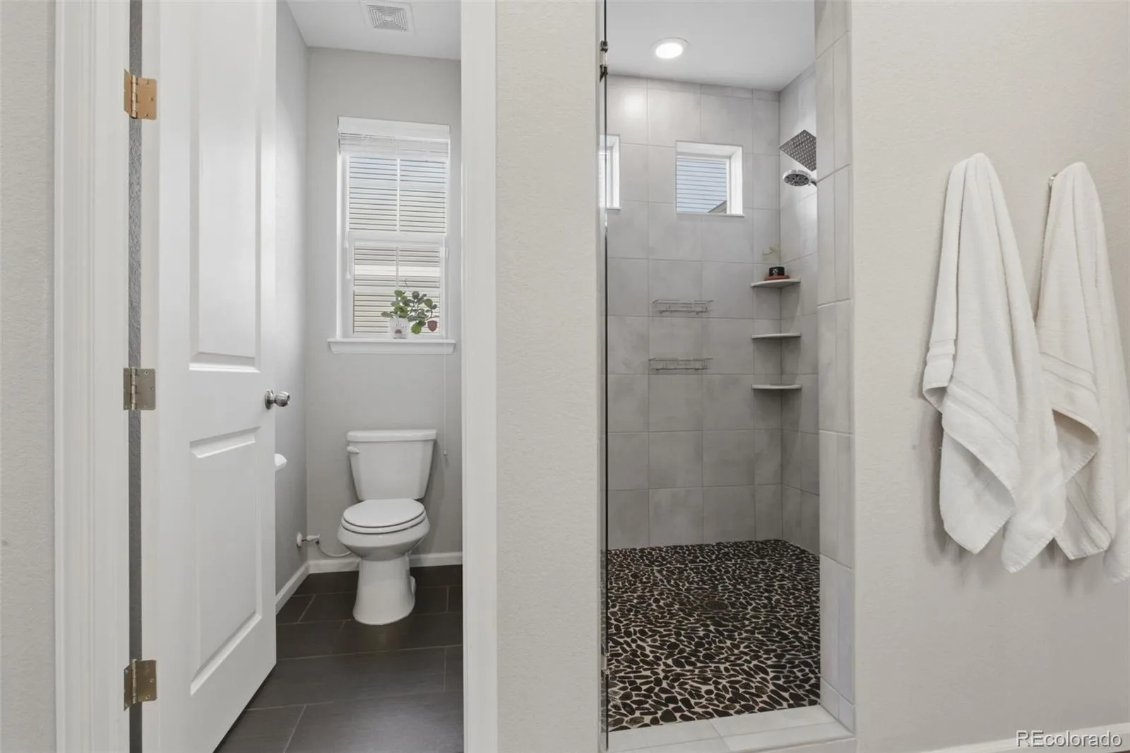 19037 Randolph Place Denver CO 80249 | MLS #REC9521721 08212026145110 1600 13
