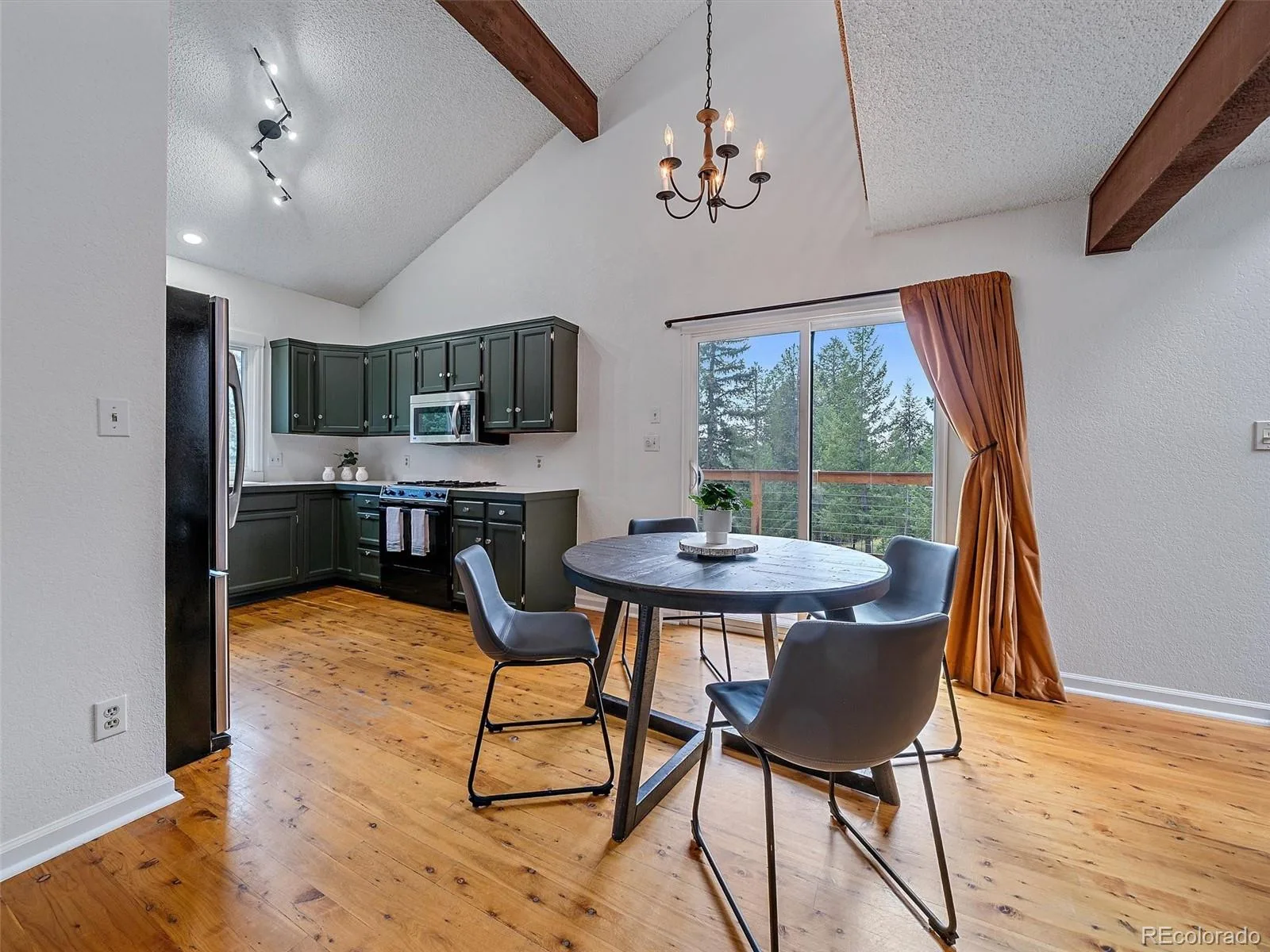 254 Juniper Lane Evergreen CO 80439 | MLS #REC9530171 08252026142428 1600 10