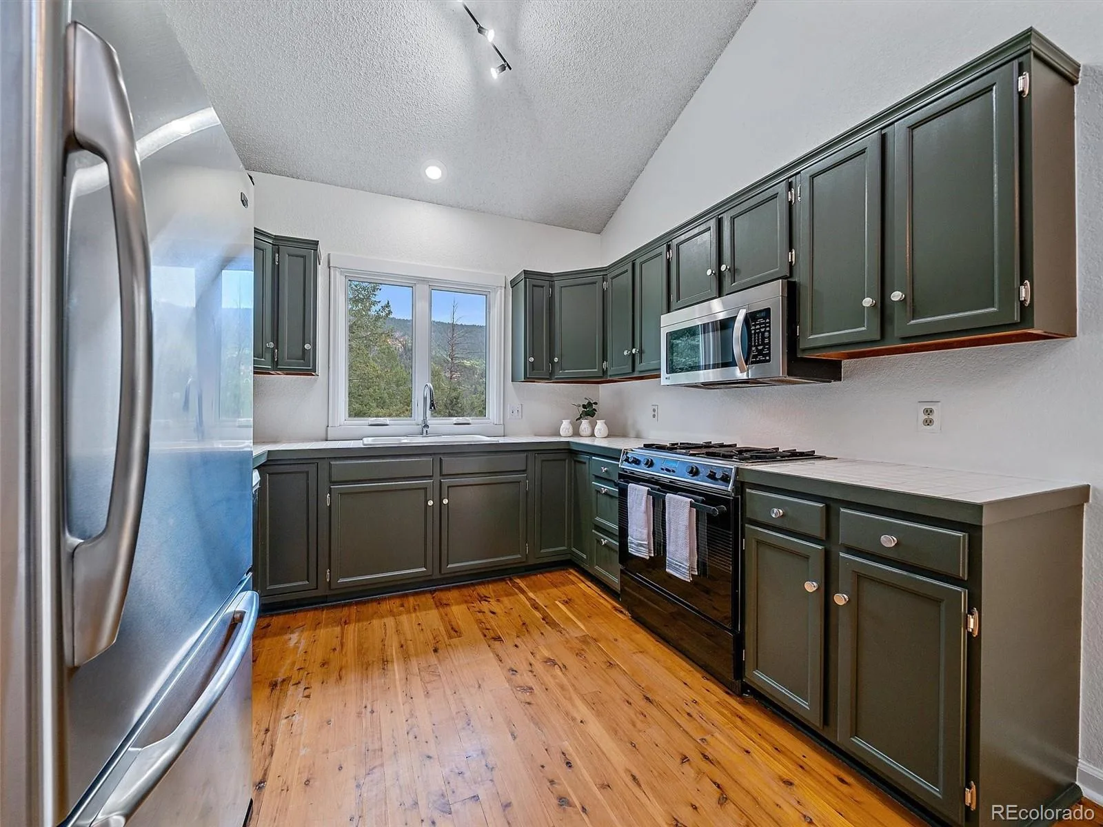 254 Juniper Lane Evergreen CO 80439 | MLS #REC9530171 08252026142428 1600 11