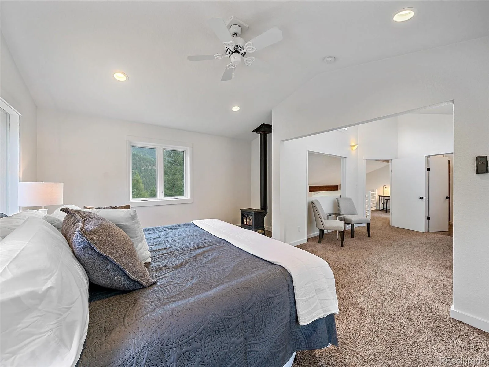 254 Juniper Lane Evergreen CO 80439 | MLS #REC9530171 08252026142428 1600 22
