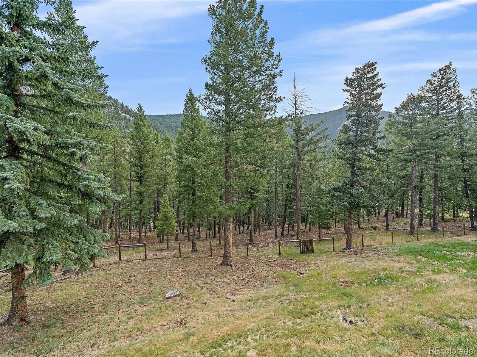 254 Juniper Lane Evergreen CO 80439 | MLS #REC9530171 08252026142428 1600 31