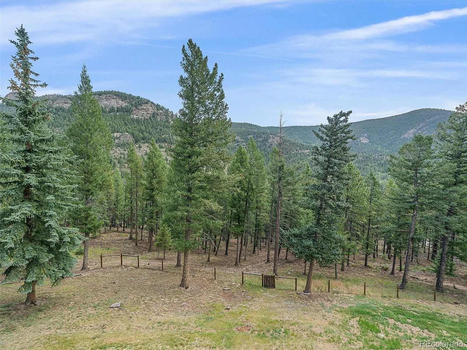 254 Juniper Lane Evergreen CO 80439 | MLS #REC9530171 08252026142428 1600 36