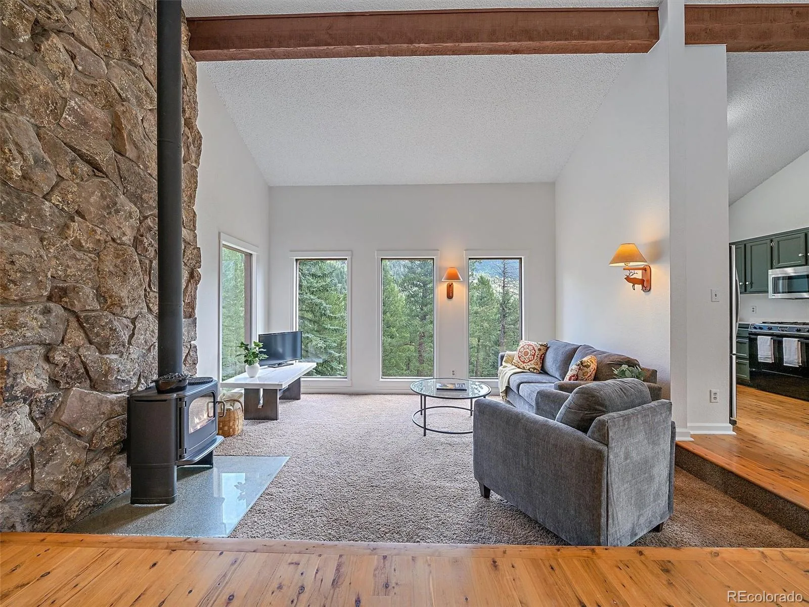 254 Juniper Lane Evergreen CO 80439 | MLS #REC9530171 08252026142428 1600 5