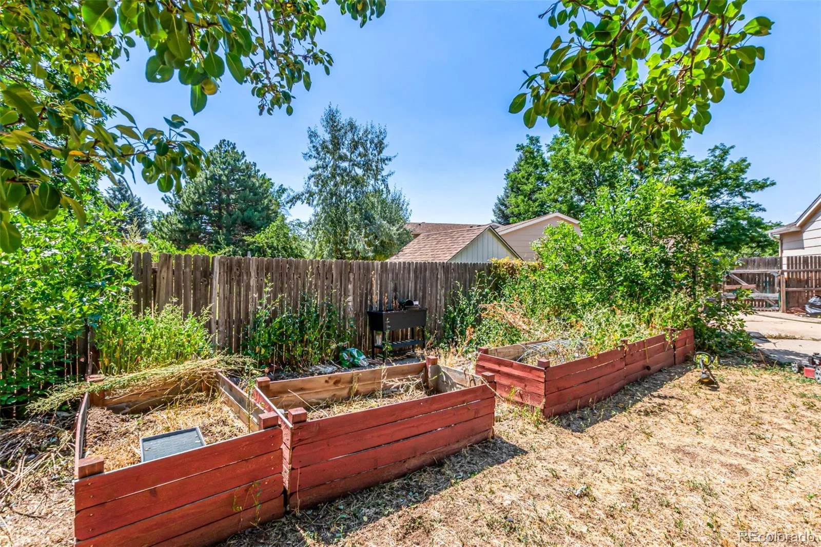 16233 E Louisiana Place Aurora CO 80017 | MLS #REC9548055 06222026190850 1600 32
