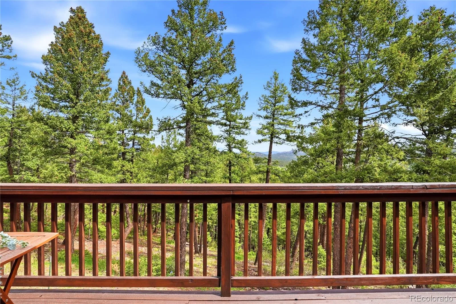 28182 Bonanza Drive Evergreen CO 80439 | MLS #REC9555008 06172026050951 1600 24