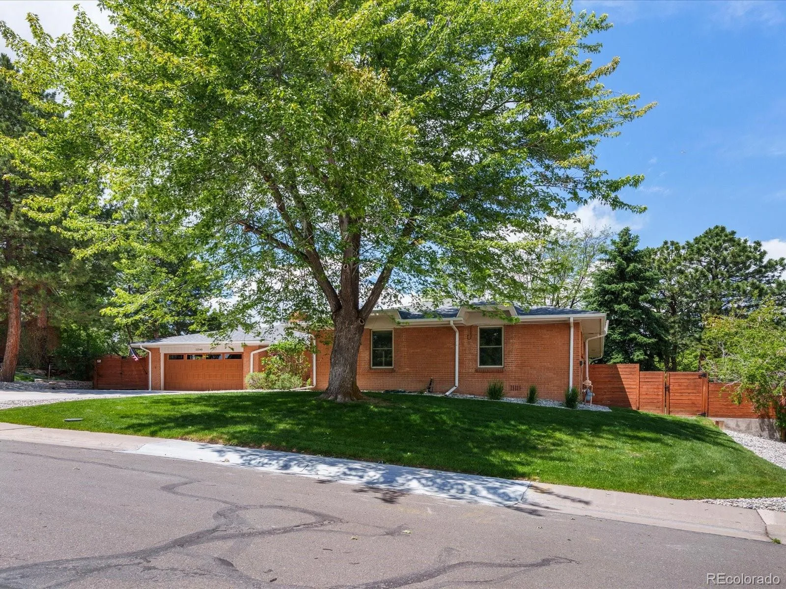 11546 W 26th Place Lakewood CO 80215 MLS #REC9556739 06012026191553 1600 7