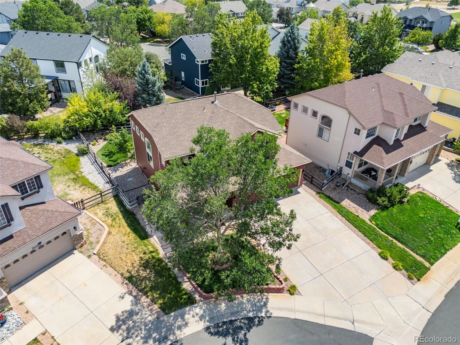 7664 Bison Court Littleton CO 80125 | MLS #REC9559103 08162026051000 1600 24