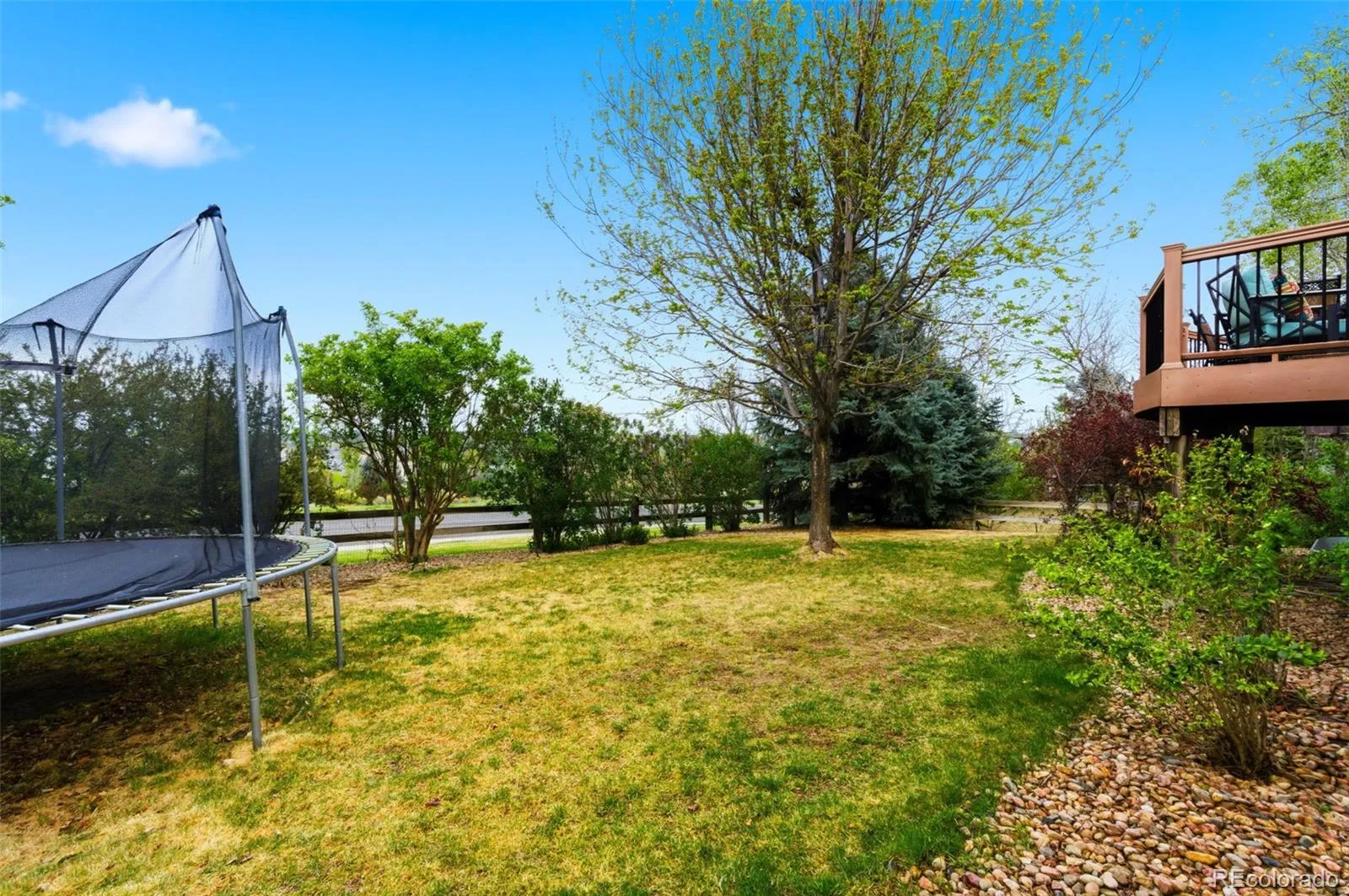17741 E Maplewood Circle Aurora CO 80016 MLS #REC9561835 04282026173339 1600 39