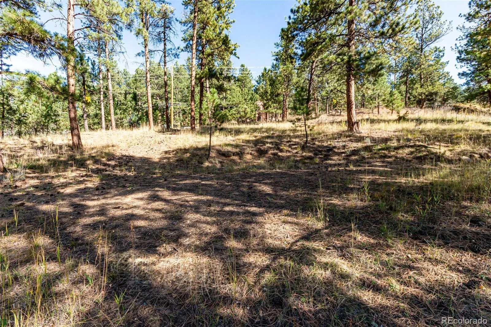27406 Mountain Park Road Evergreen CO 80439 MLS #REC9565653 04142026222042 1600 11