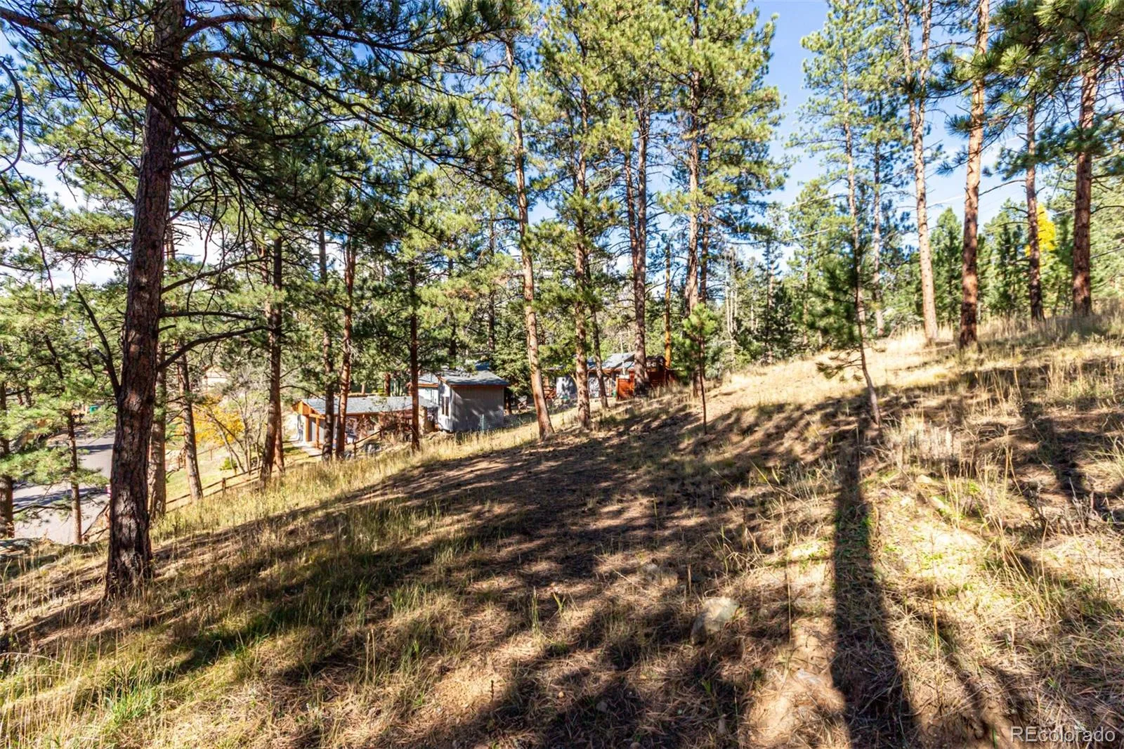 27406 Mountain Park Road Evergreen CO 80439 MLS #REC9565653 04142026222042 1600 12