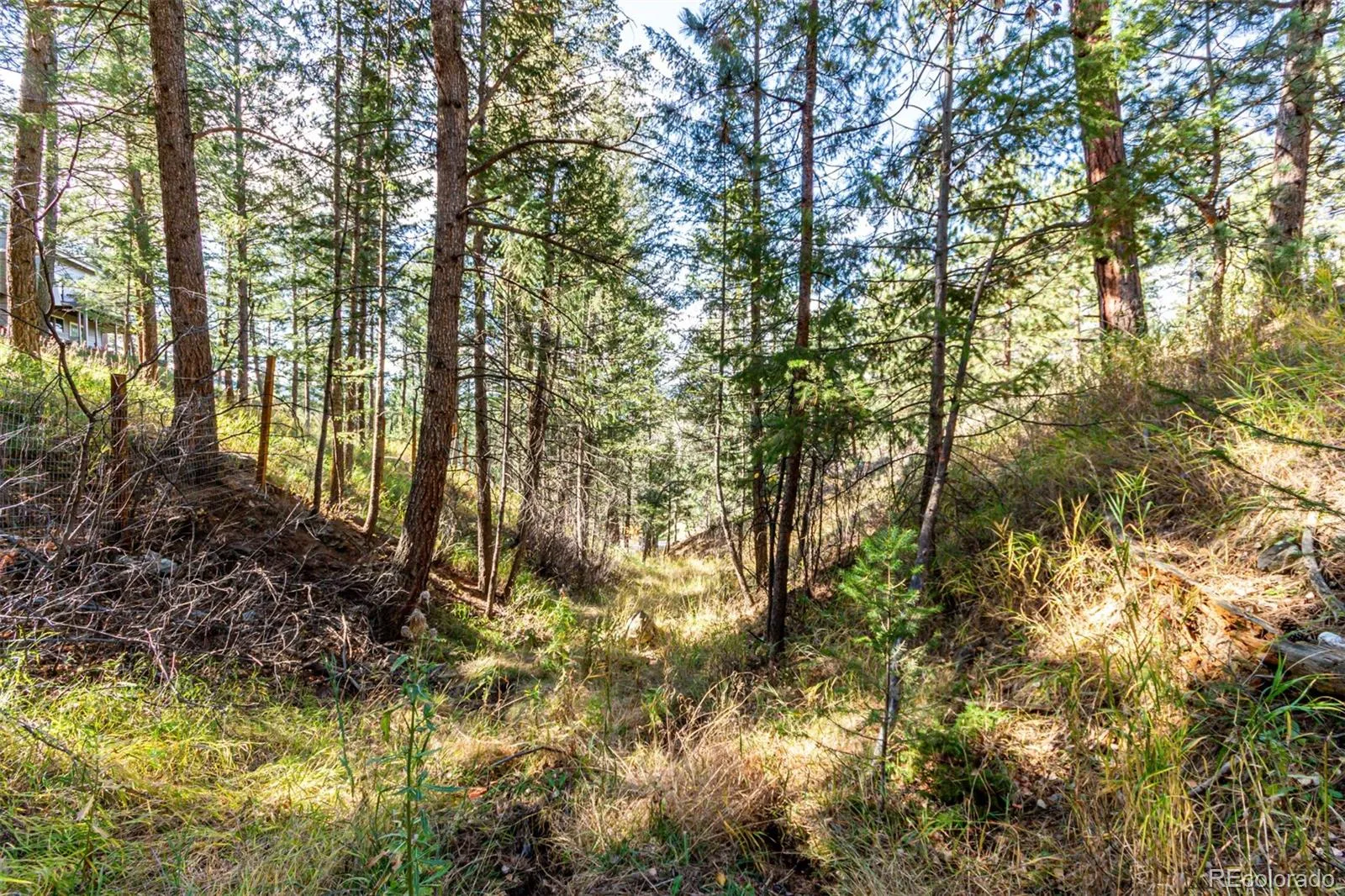27406 Mountain Park Road Evergreen CO 80439 MLS #REC9565653 04142026222042 1600 14