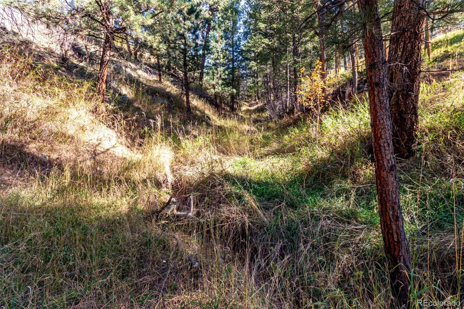 27406 Mountain Park Road Evergreen CO 80439 MLS #REC9565653 04142026222042 1600 15