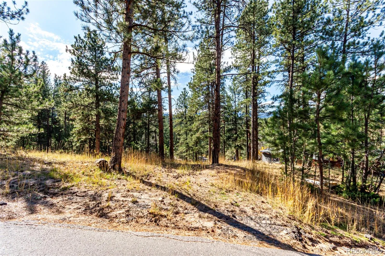 27406 Mountain Park Road Evergreen CO 80439 MLS #REC9565653 04142026222042 1600 2