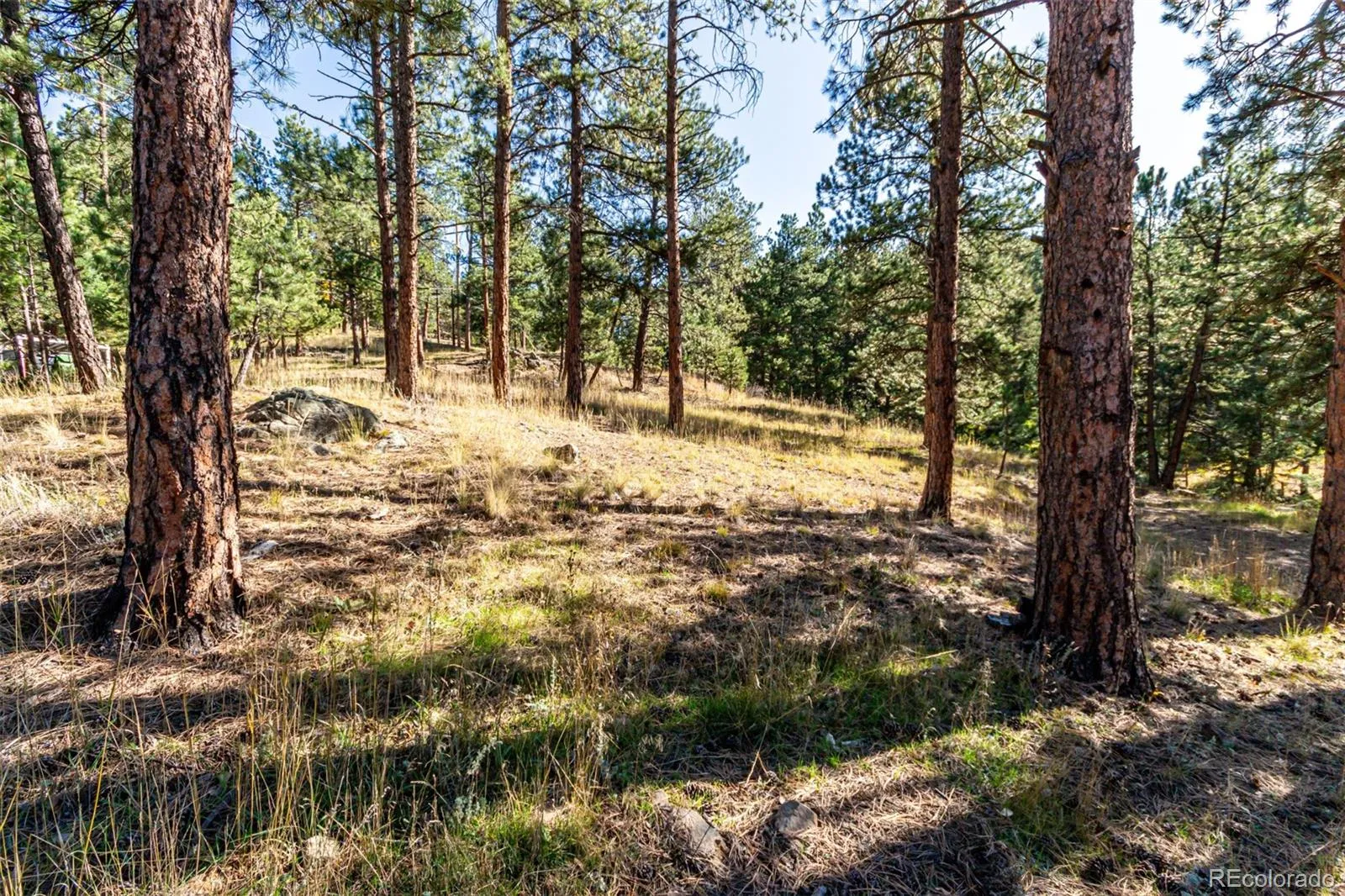 27406 Mountain Park Road Evergreen CO 80439 MLS #REC9565653 04142026222042 1600 3