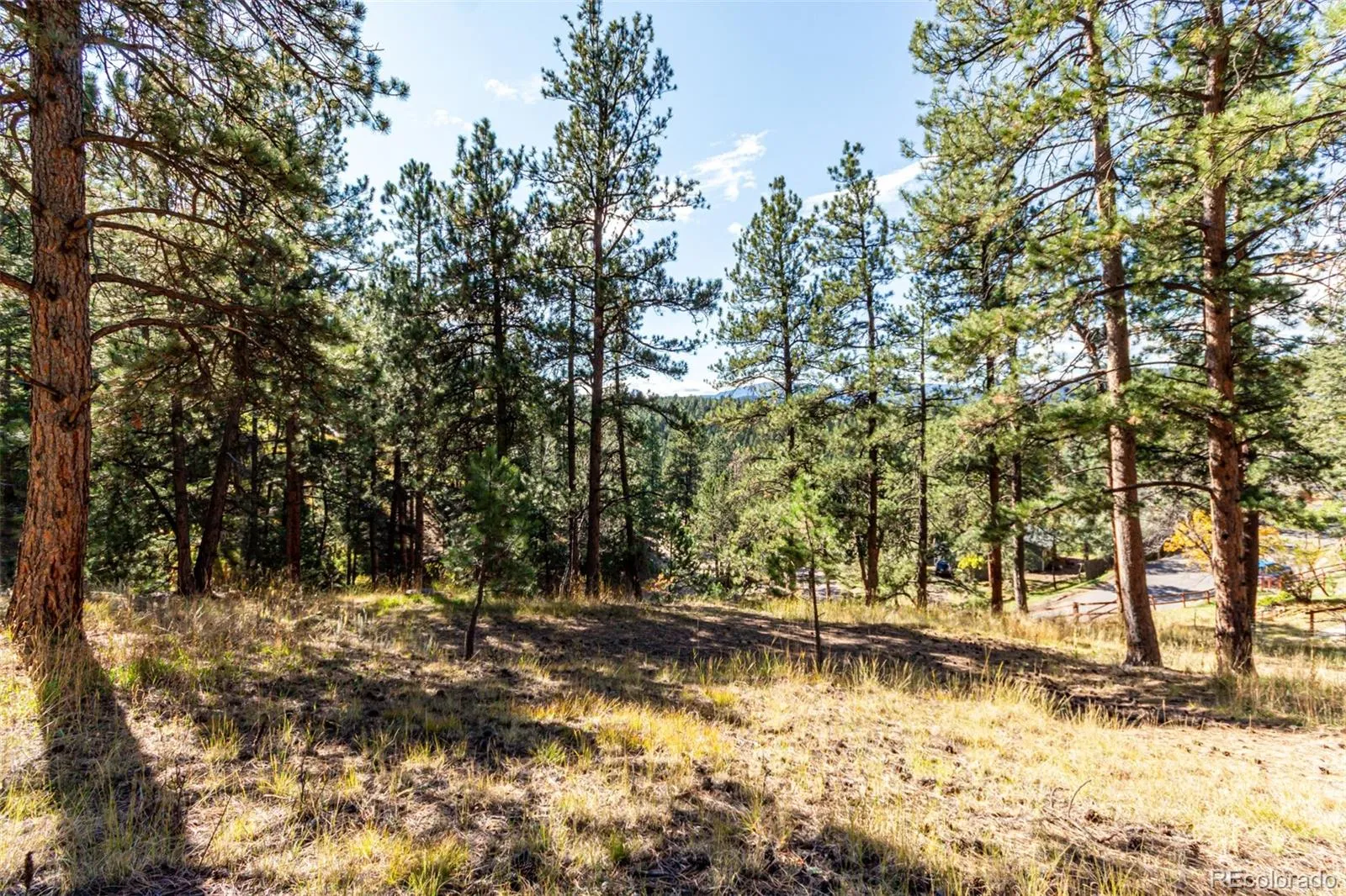 27406 Mountain Park Road Evergreen CO 80439 MLS #REC9565653 04142026222042 1600 4
