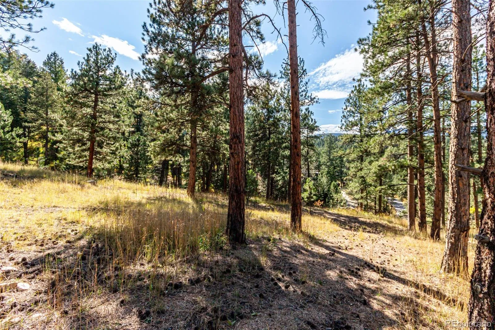 27406 Mountain Park Road Evergreen CO 80439 MLS #REC9565653 04142026222042 1600 5
