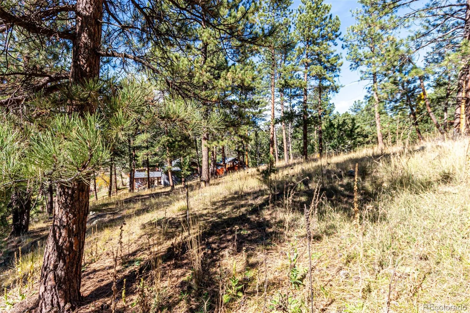 27406 Mountain Park Road Evergreen CO 80439 MLS #REC9565653 04142026222042 1600 6
