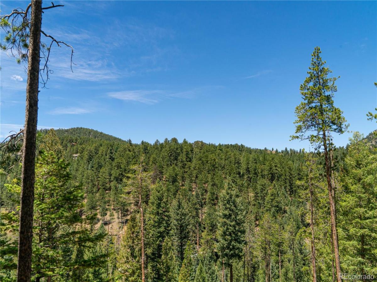 MLS #REC9567184 image #0