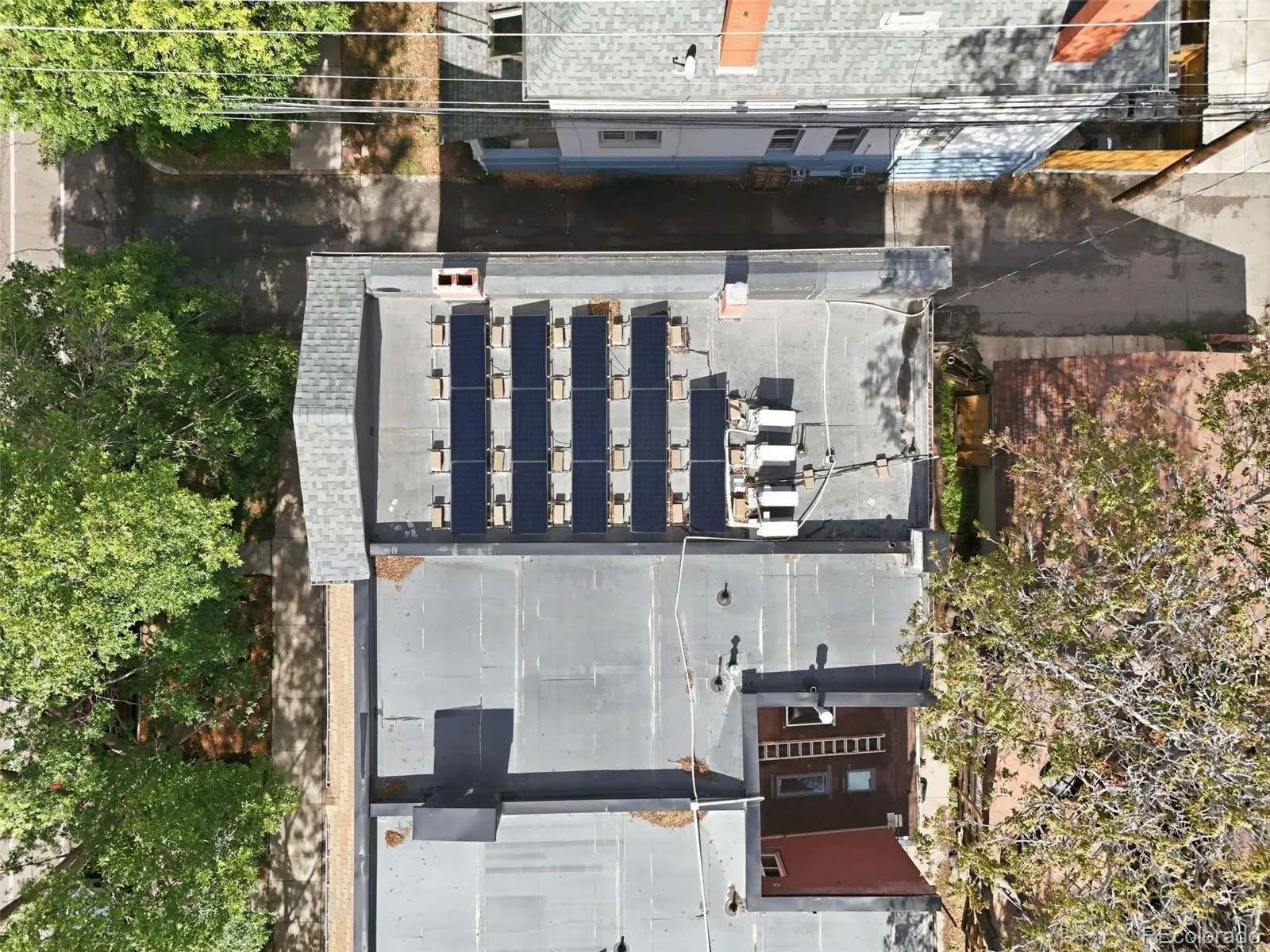 2121 E 16th Avenue Denver CO 80206 MLS #REC9570622 05222026222958 1600 42