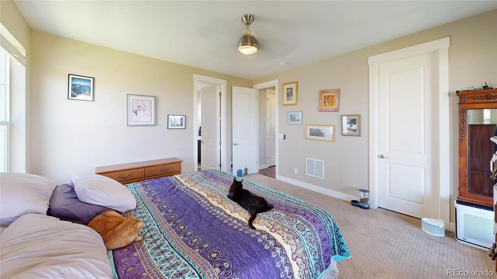 3403 Linden Circle Dacono CO 80514 | MLS #REC9577043 07152026085234 1600 9