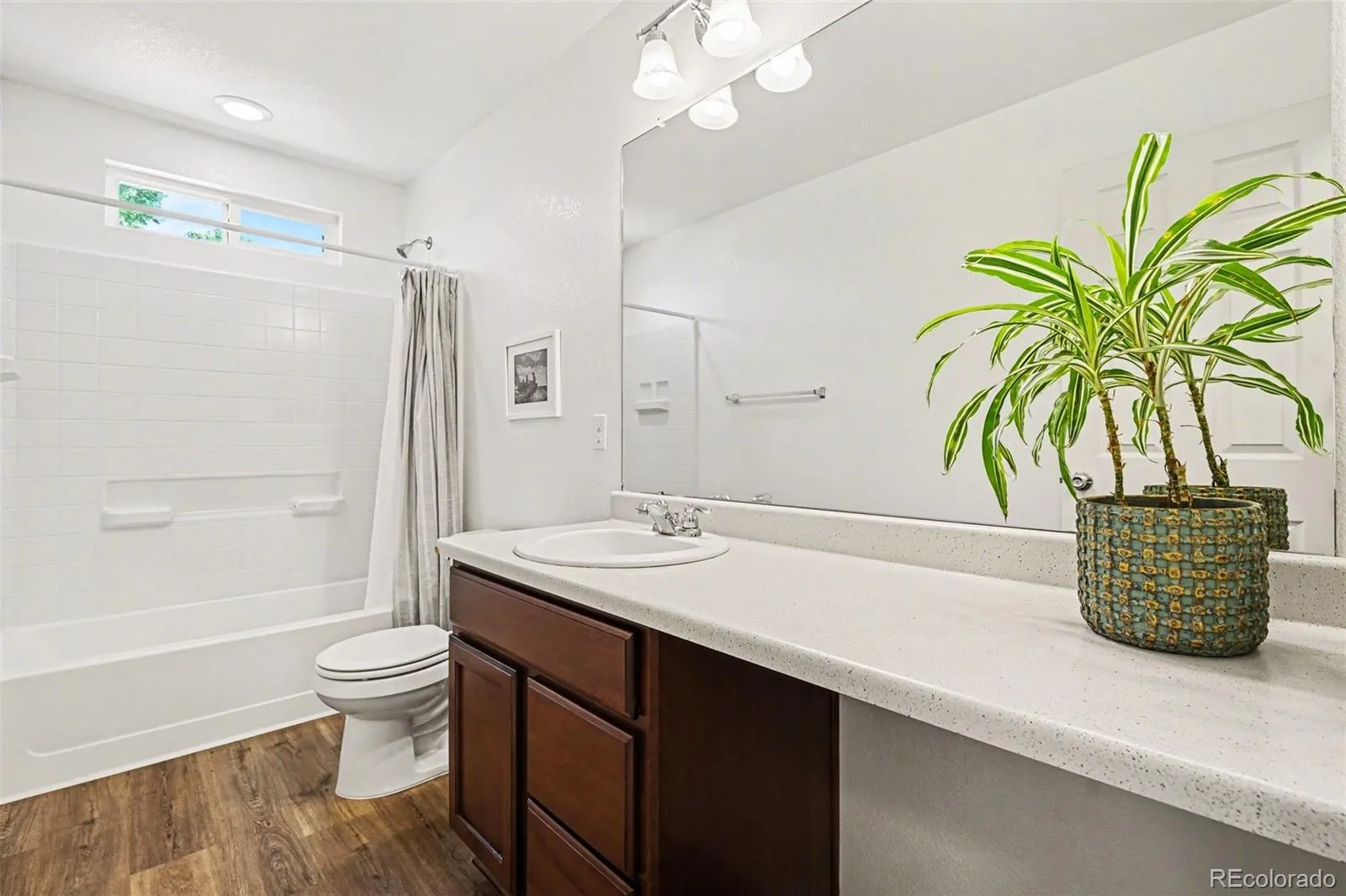 1949 W 52nd Place Denver CO 80221 MLS #REC9579825 05052026225033 1600 16