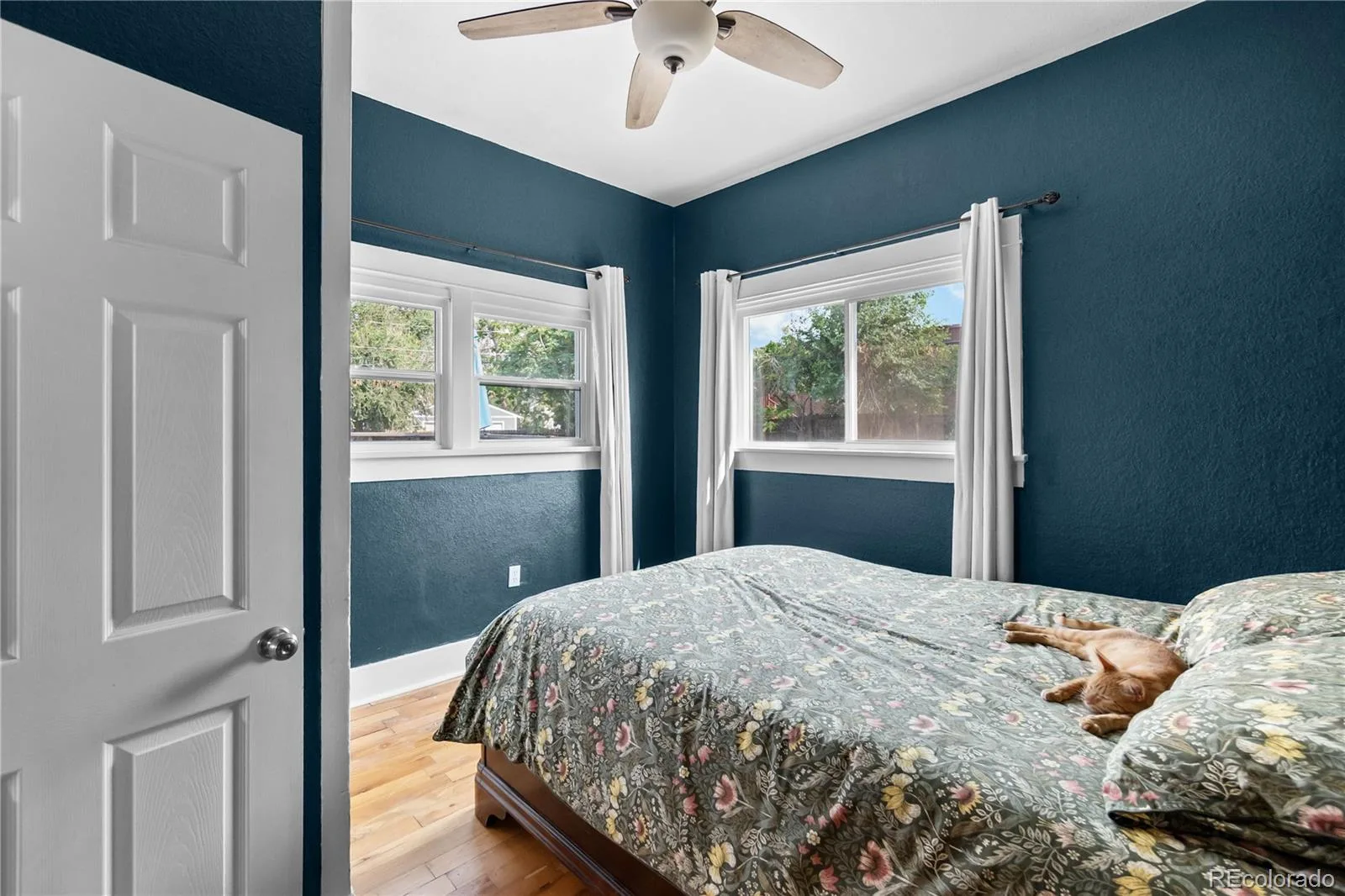 1620 Dallas Street Aurora CO 80010 | MLS #REC9585340 08062026175852 1600 24