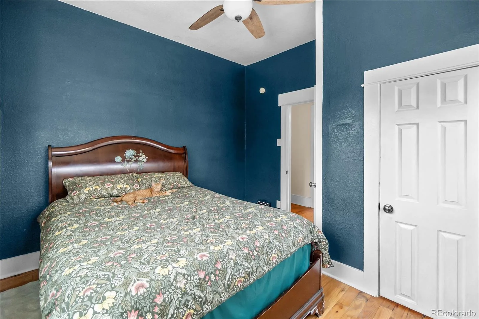 1620 Dallas Street Aurora CO 80010 | MLS #REC9585340 08062026175852 1600 25