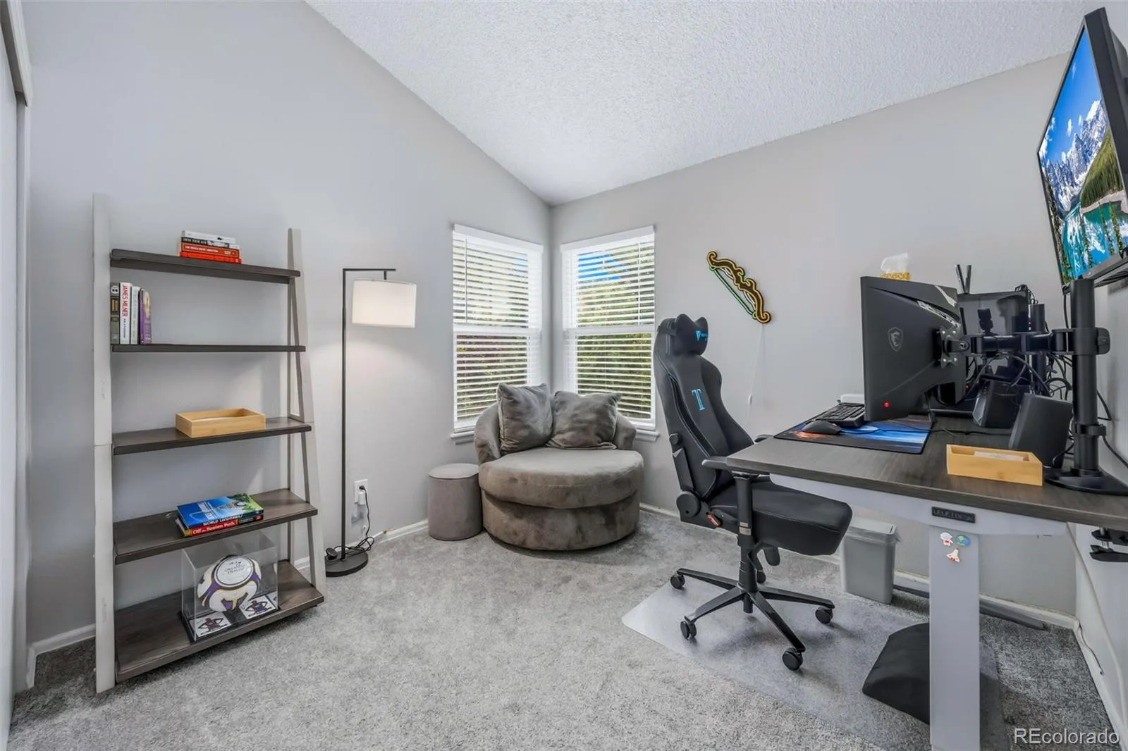 17016 Lamar Drive Parker CO 80134 MLS #REC9589559 07082026200848 1600 18