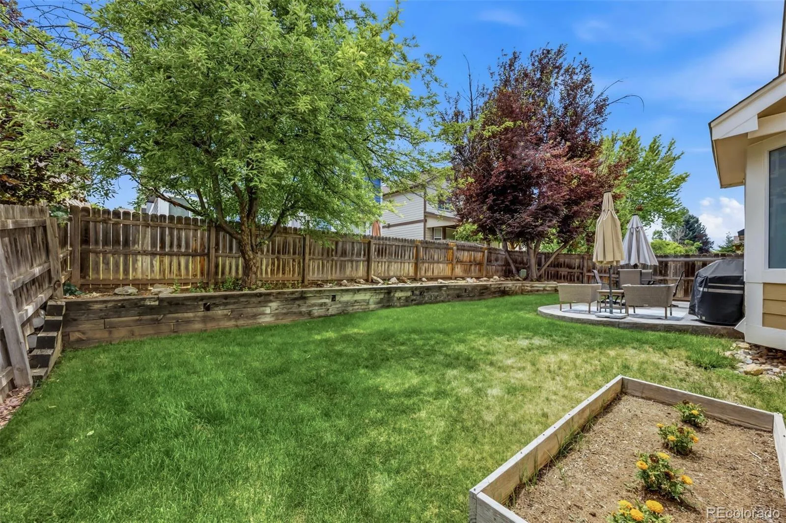 17016 Lamar Drive Parker CO 80134 MLS #REC9589559 07082026200848 1600 25