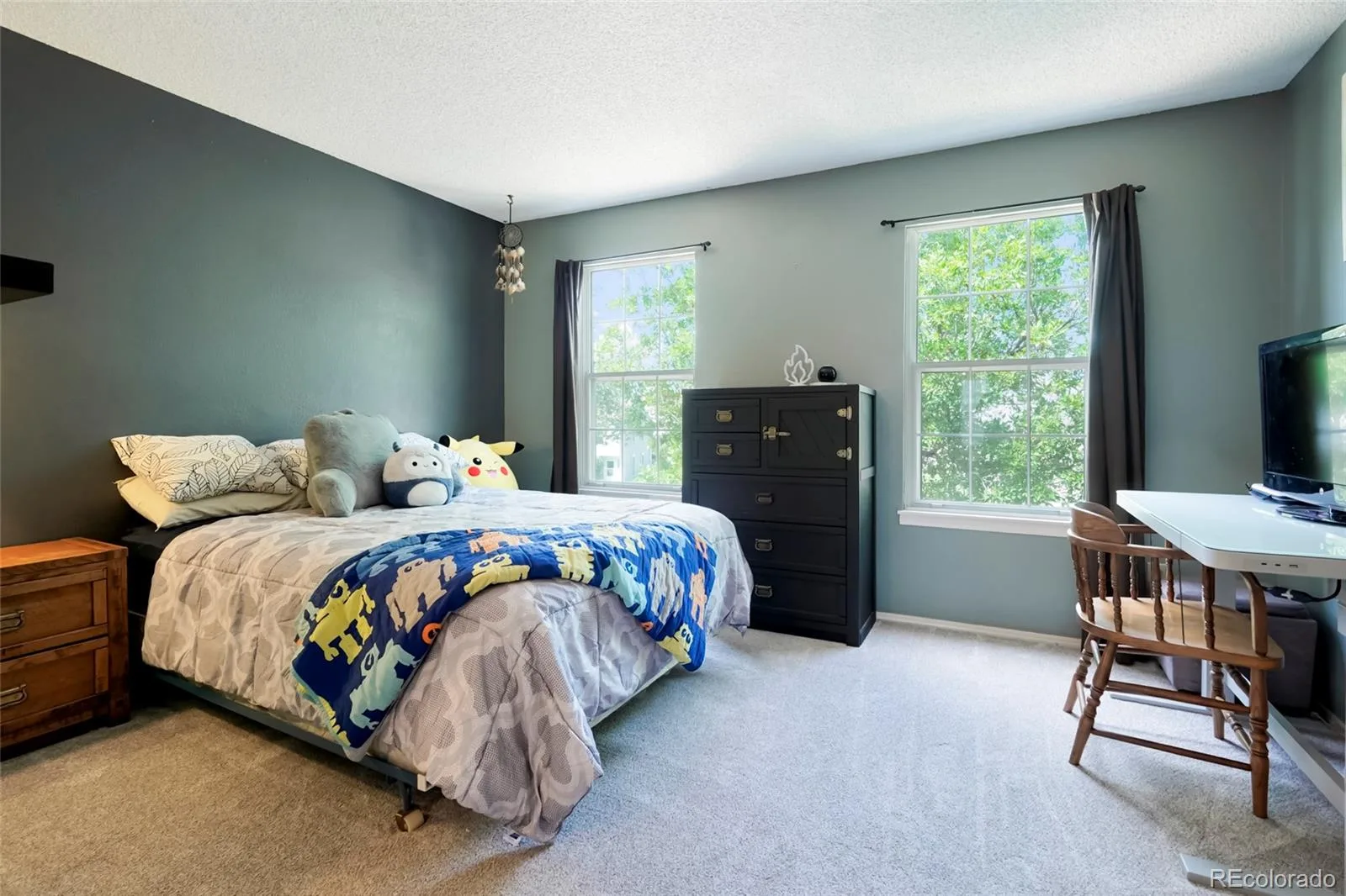 19856 Summerset Lane Parker CO 80138 | MLS #REC9591069 07092026181422 1600 18