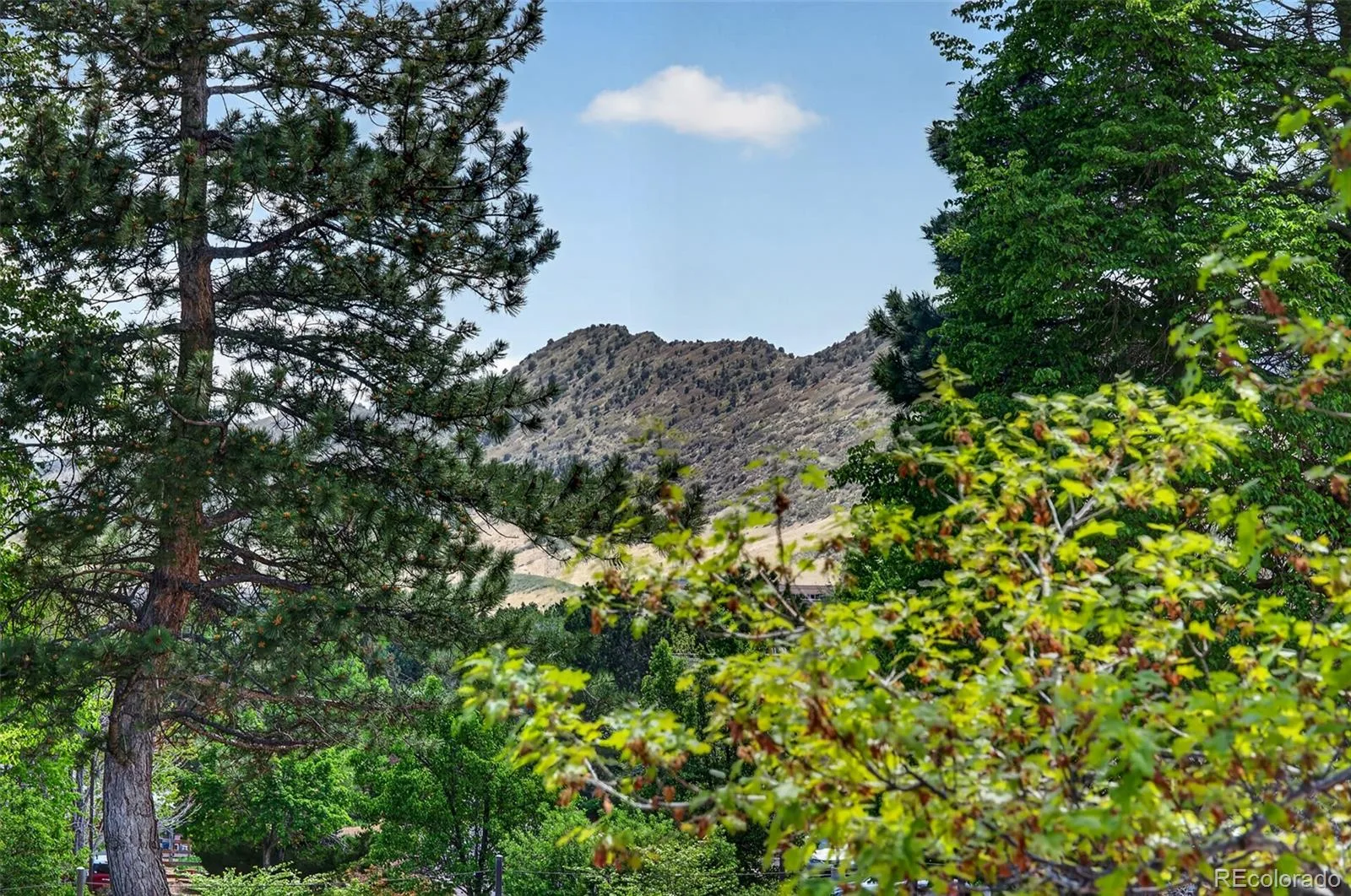 8093 S Vermejo Peak Littleton CO 80127 | MLS #REC9592801 07072026200109 1600 17