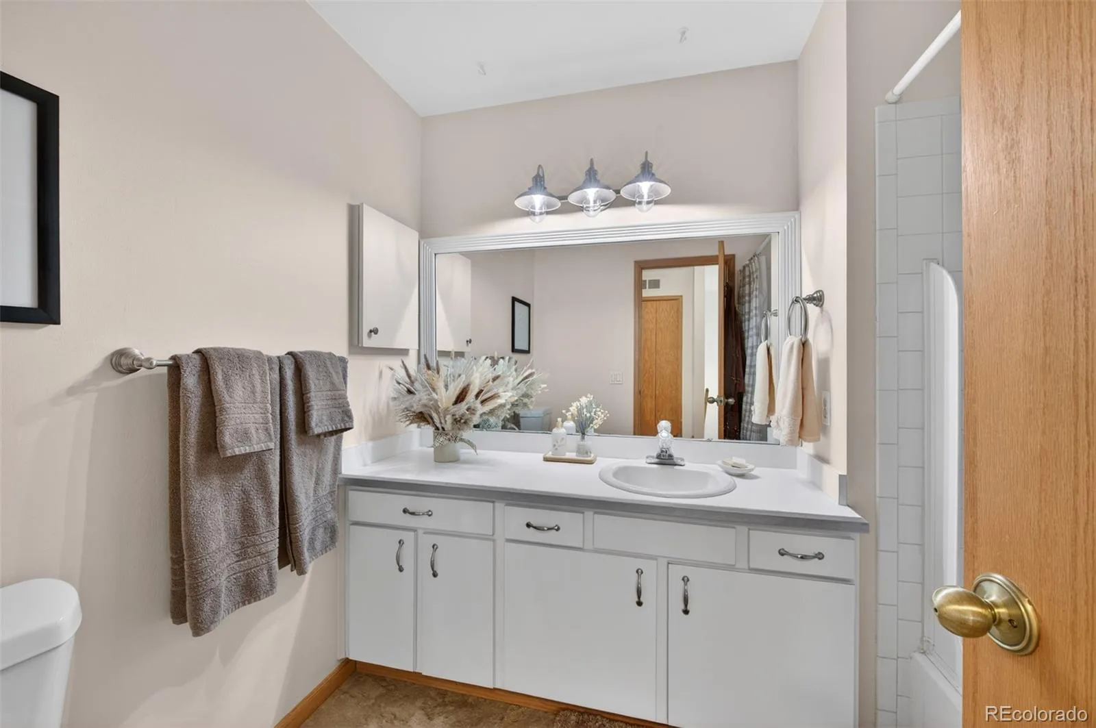 8093 S Vermejo Peak Littleton CO 80127 | MLS #REC9592801 07072026200109 1600 37