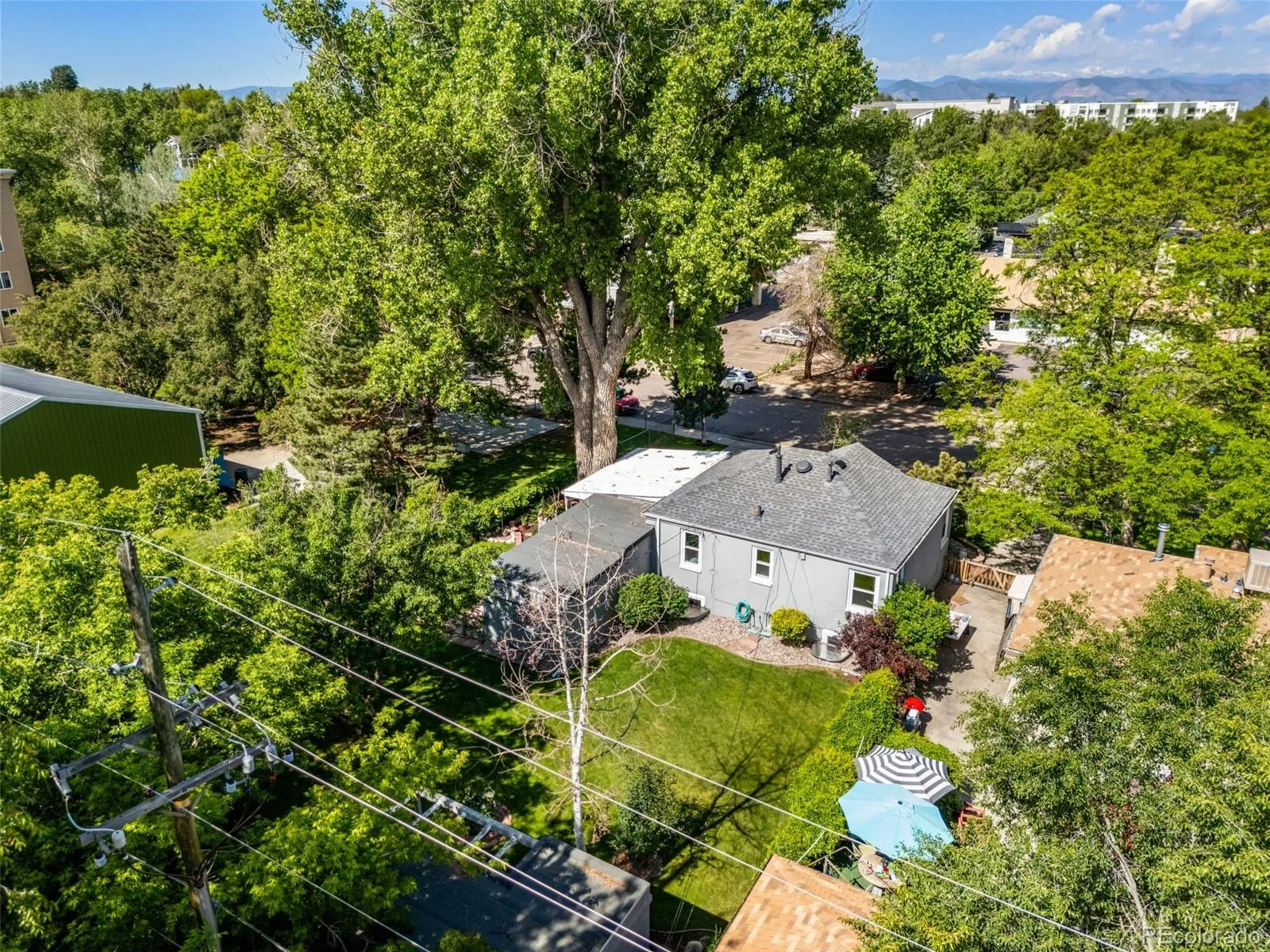 3628 S Pennsylvania Street Englewood CO 80113 MLS #REC9597270 06032026145455 1600 36