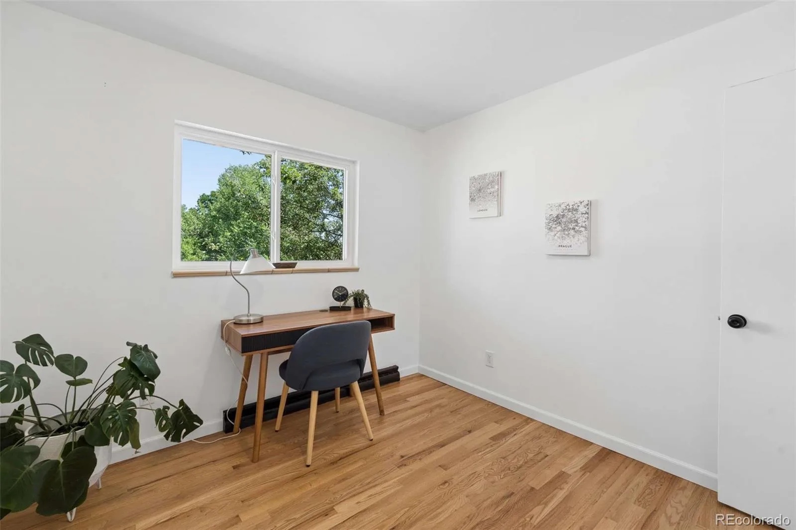 959 S Swadley Street Denver CO 80228 MLS #REC9597347 07152026142415 1600 20
