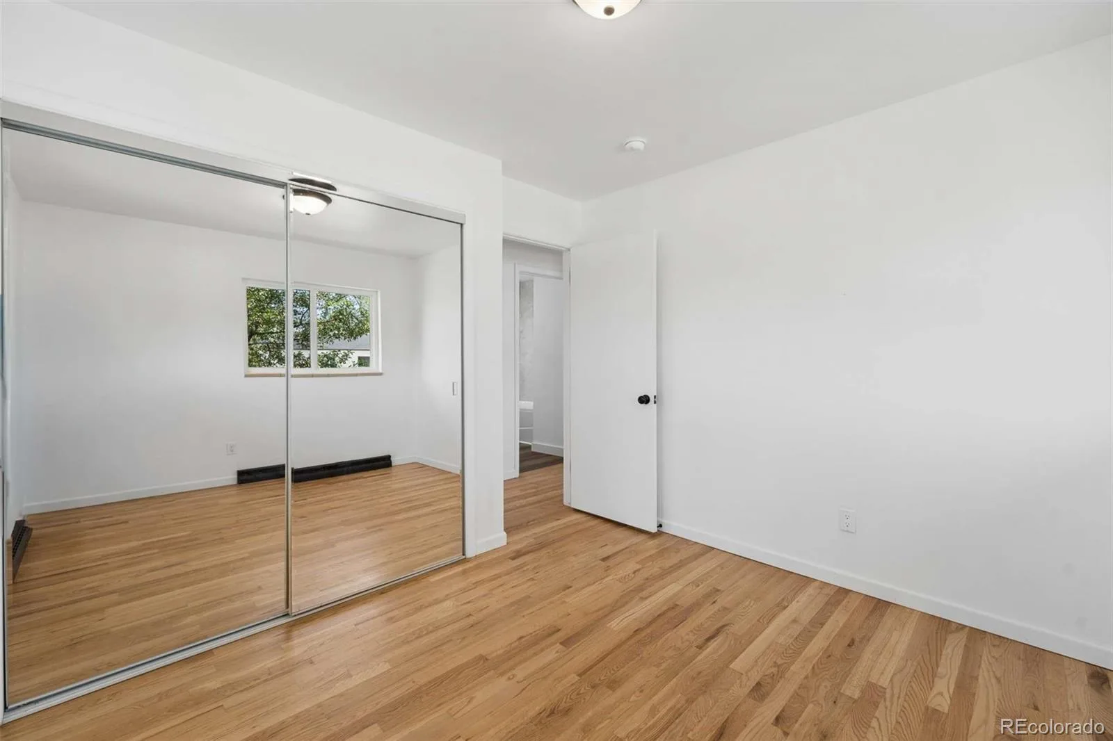 959 S Swadley Street Denver CO 80228 MLS #REC9597347 07152026142415 1600 26