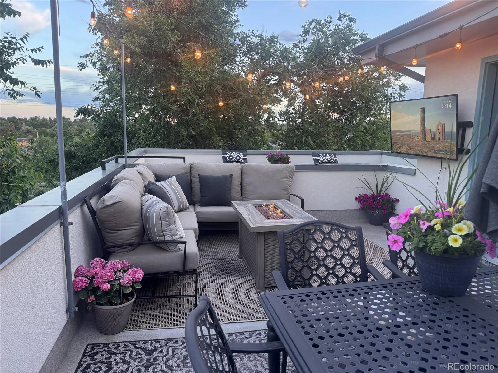 1227 Osceola Street Denver CO 80204 MLS #REC9605848 06092026151723 1600 10