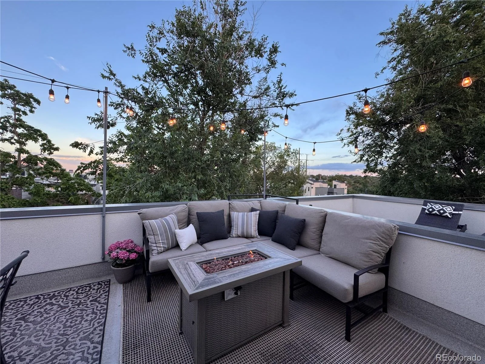 1227 Osceola Street Denver CO 80204 MLS #REC9605848 06092026151723 1600 12
