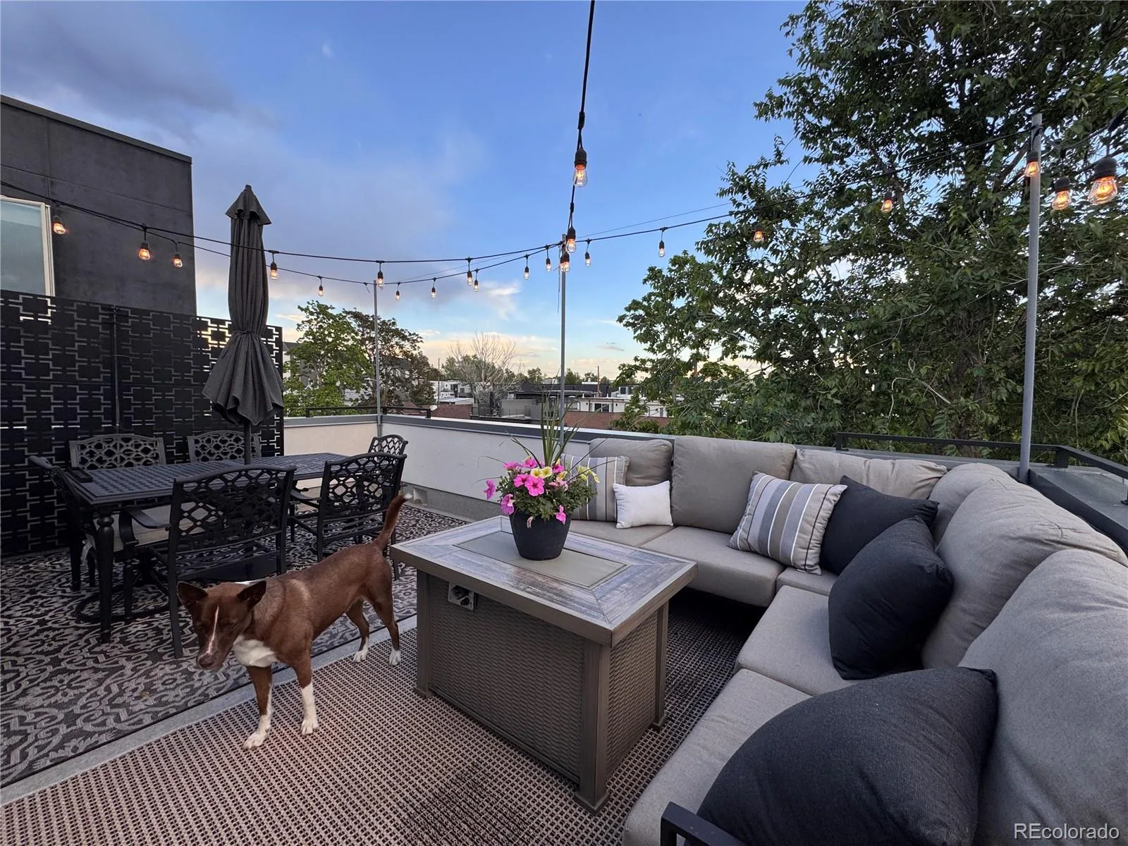 1227 Osceola Street Denver CO 80204 MLS #REC9605848 06092026151723 1600 14
