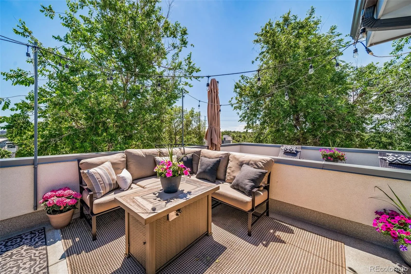 1227 Osceola Street Denver CO 80204 MLS #REC9605848 06092026151723 1600 7