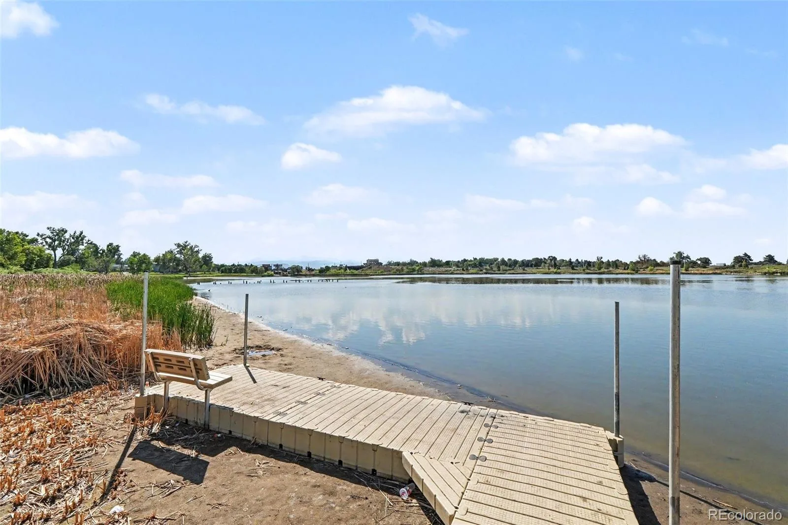 2240 W 56th Place Denver CO 80221 | MLS #REC9606889 06102026211126 1600 33