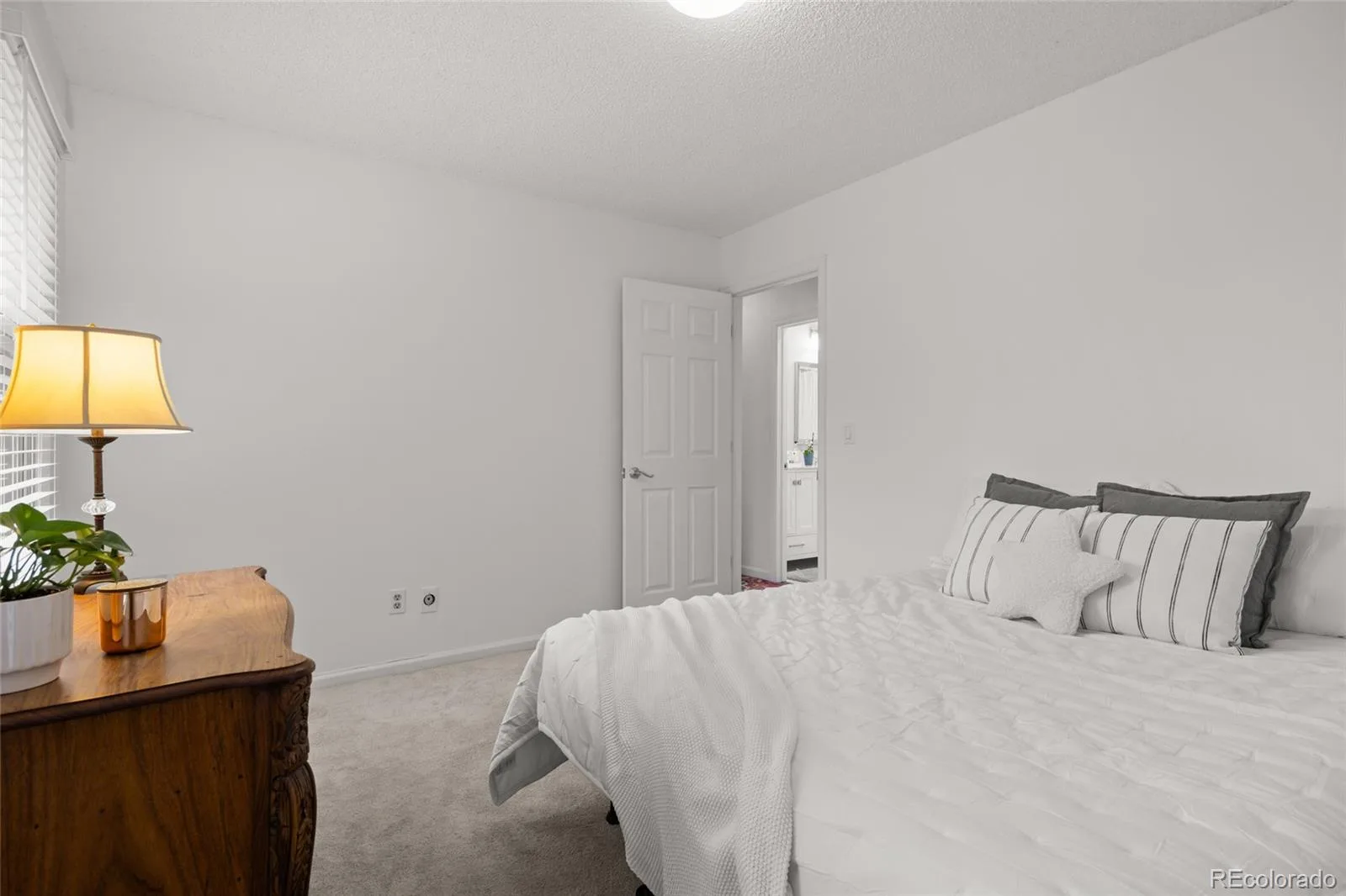 6023 S Lima Street Englewood CO 80111 MLS #REC9609831 06122026175134 1600 25